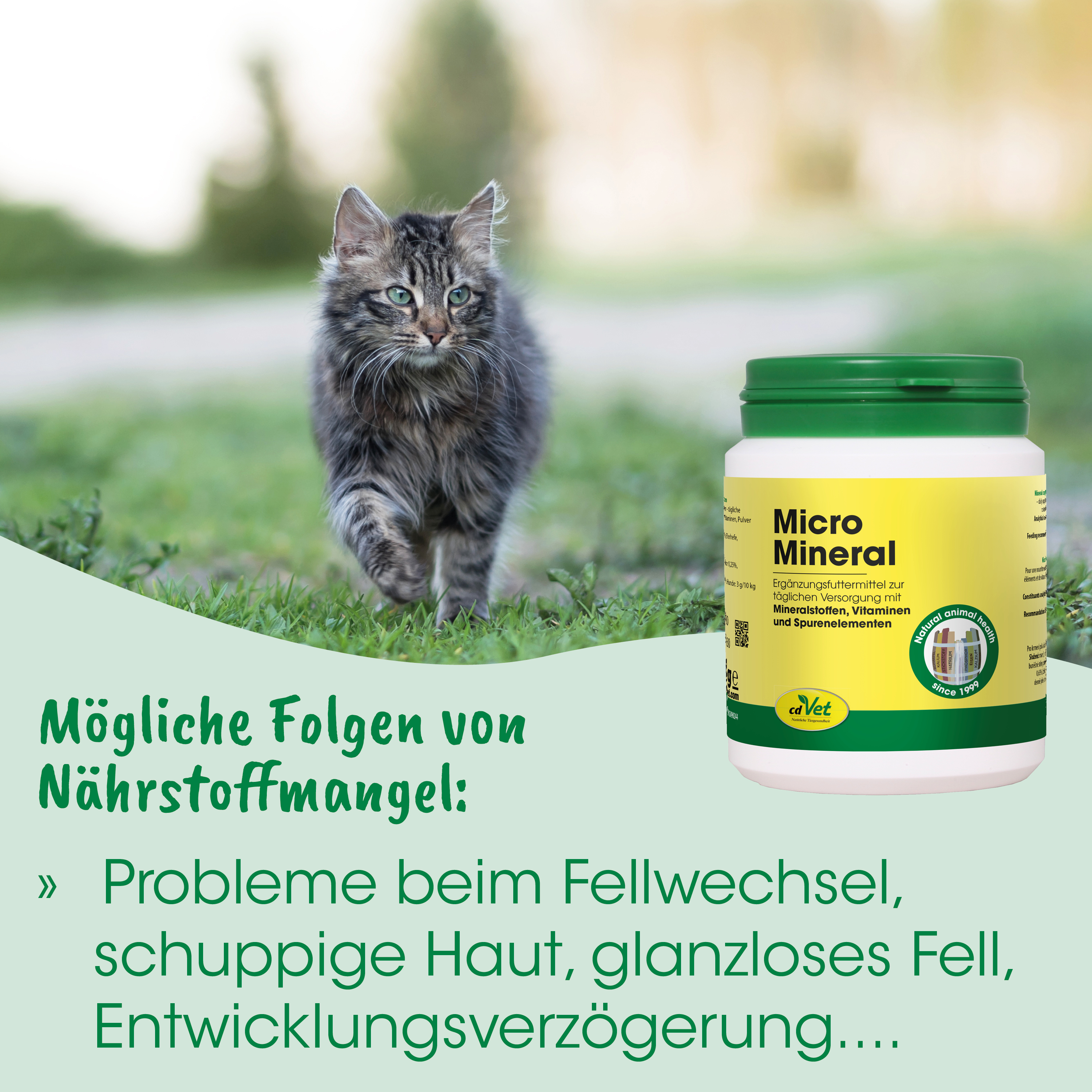 Katzenfutter, Nahrungsergänzung, Minerale, Kapsel, Gelb grün