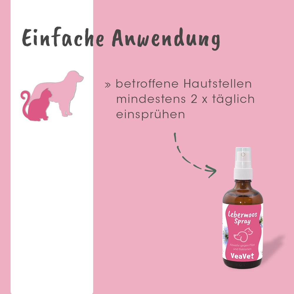 VeaVet Hépatique Spray 50 ml