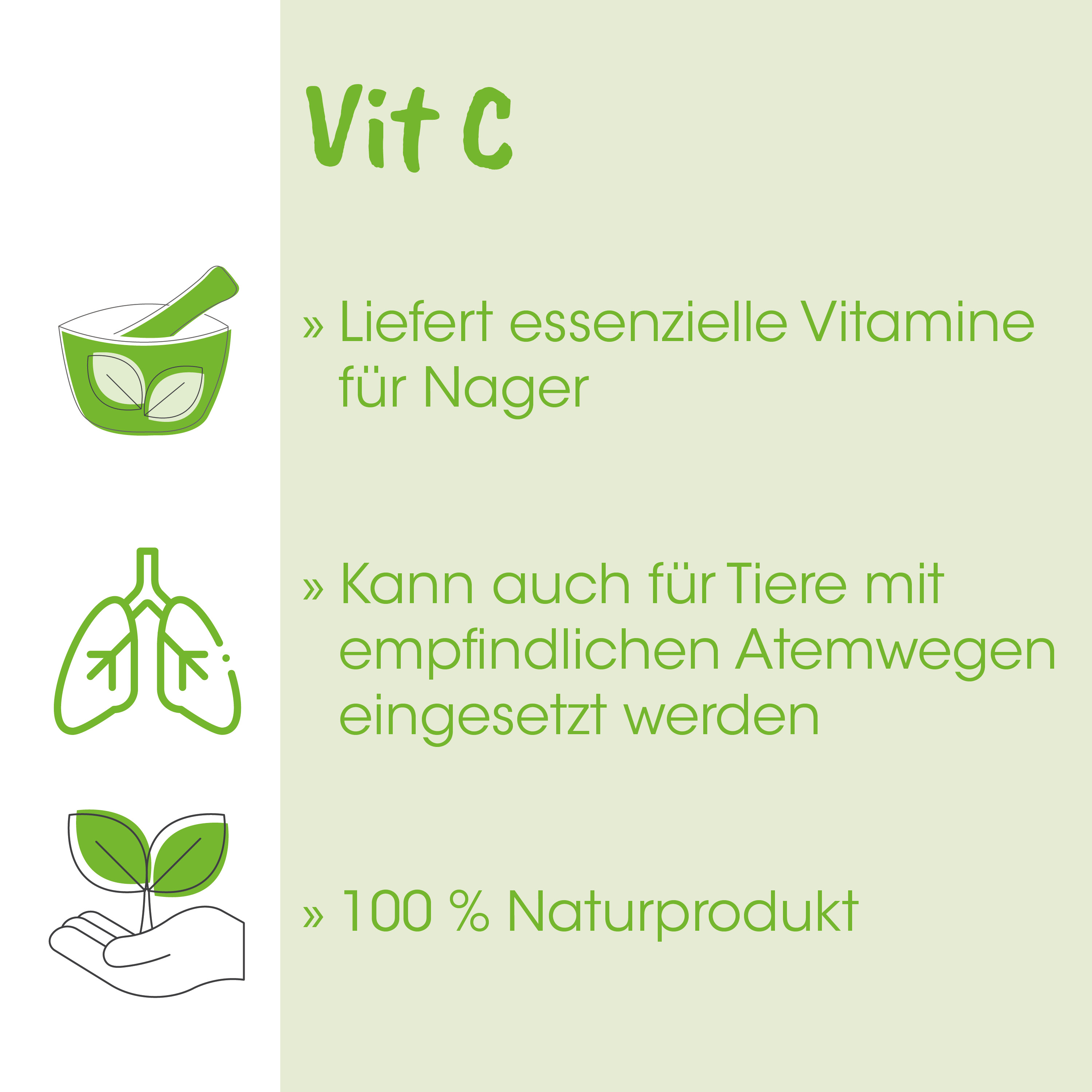 Vitamine, Nager, Pflanze, Naturprodukt, Lunge