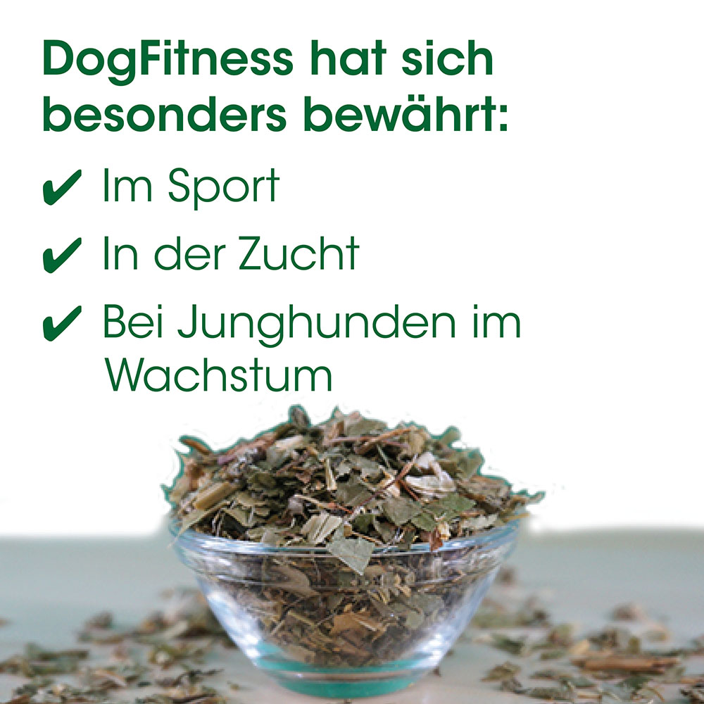 Kraut, Kräutertee, Teeblätter, Getrocknete Kräuter, Glasgefäß