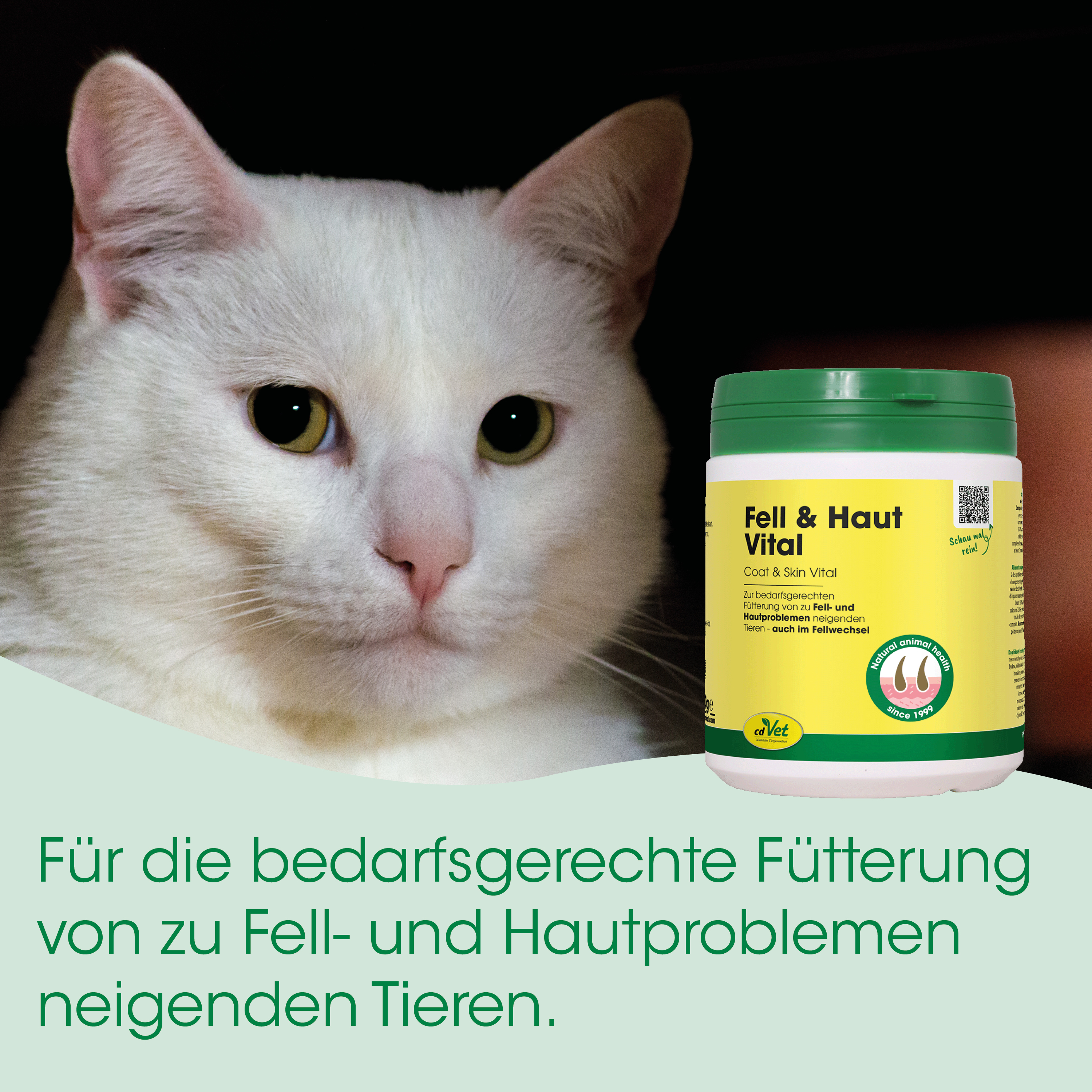 Katze, Tierernährung, Futter, Coat & Skin, Tiergesundheit