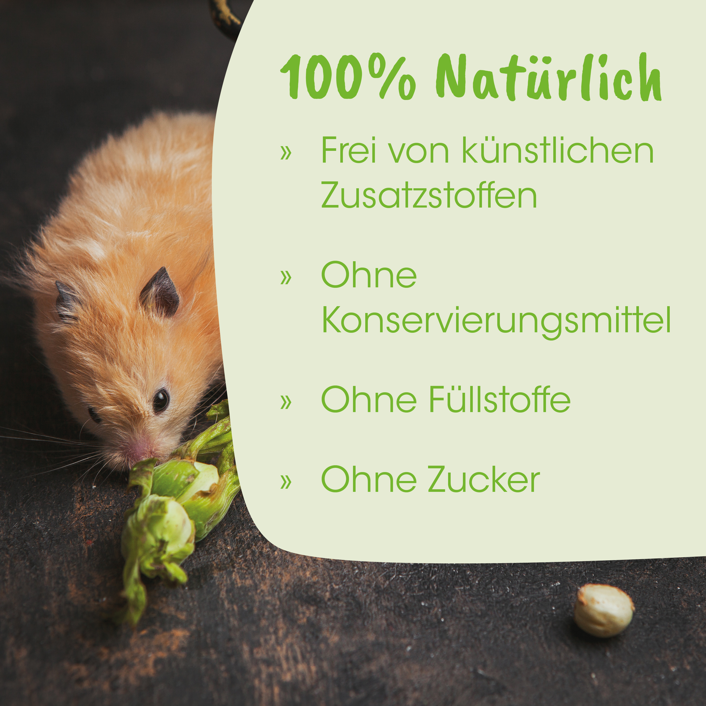 Nagetiere, Kleinsäuger, Nussig, Tierfutter, Ernährung