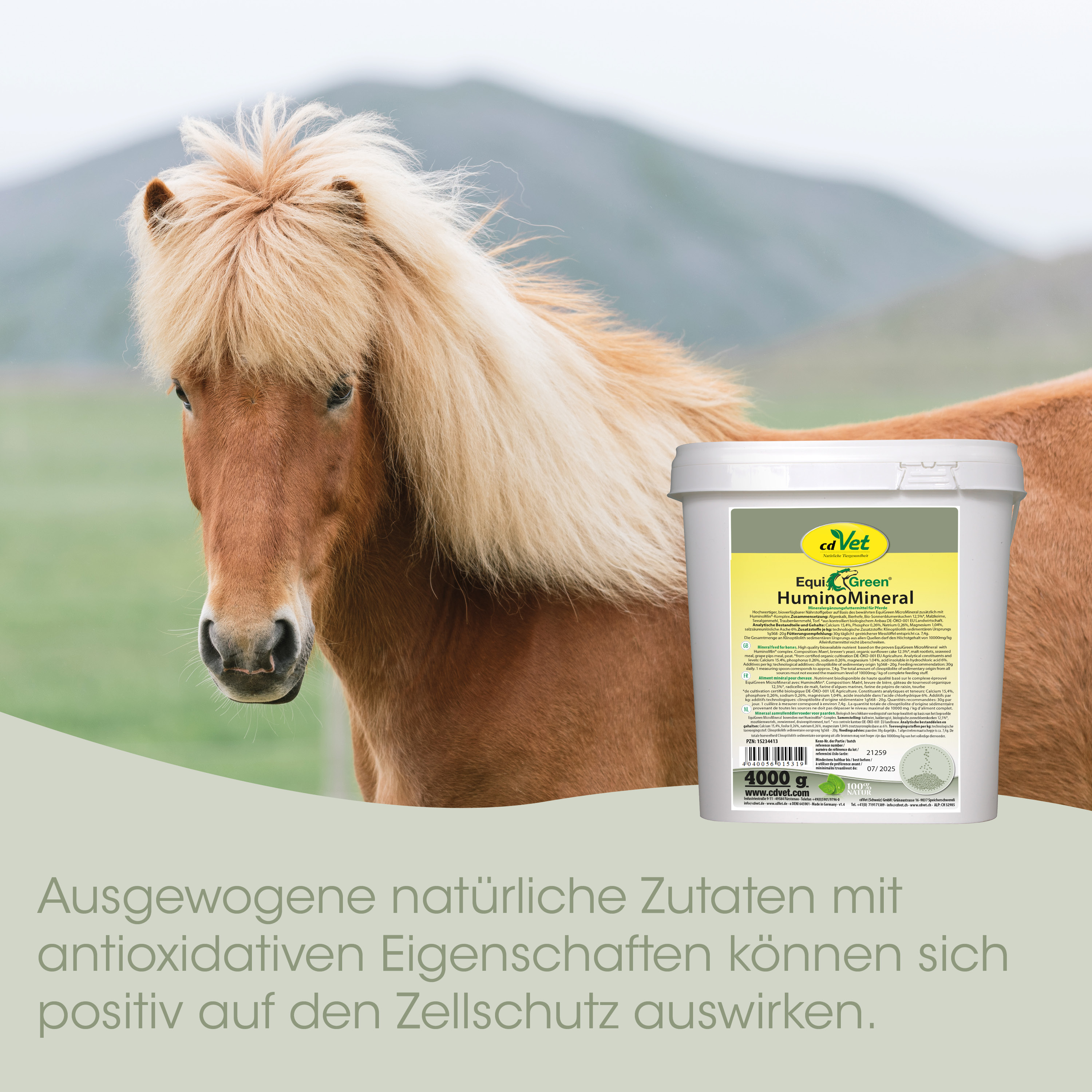Pferd, Pferdefutter, Eimer, Mineralergänzung, Halterung