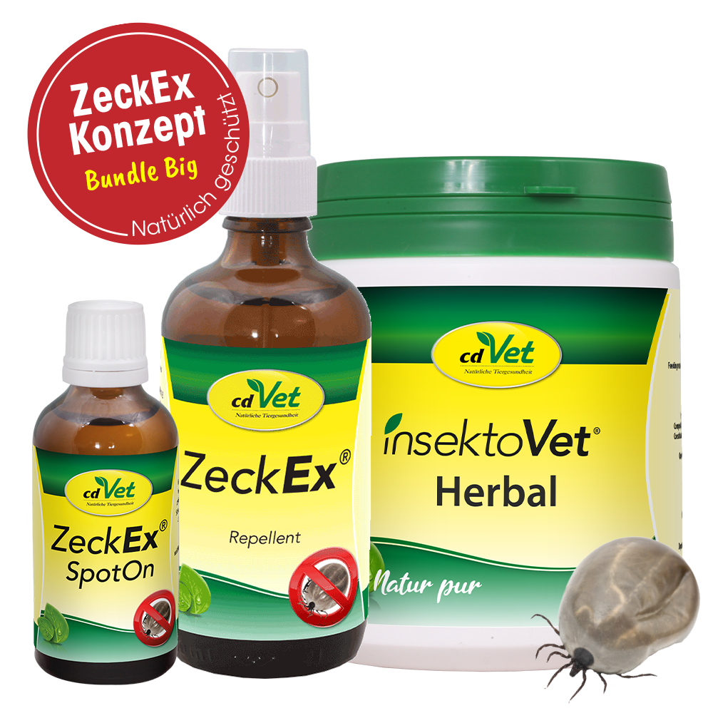 Bundle ZeckEx-Konzept Big Bundle ZeckEx-Konzept Big
