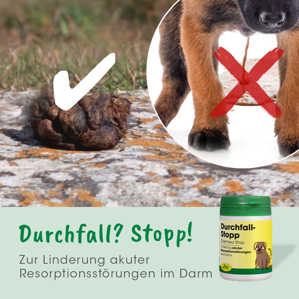 DiarrhéeStop 180 g