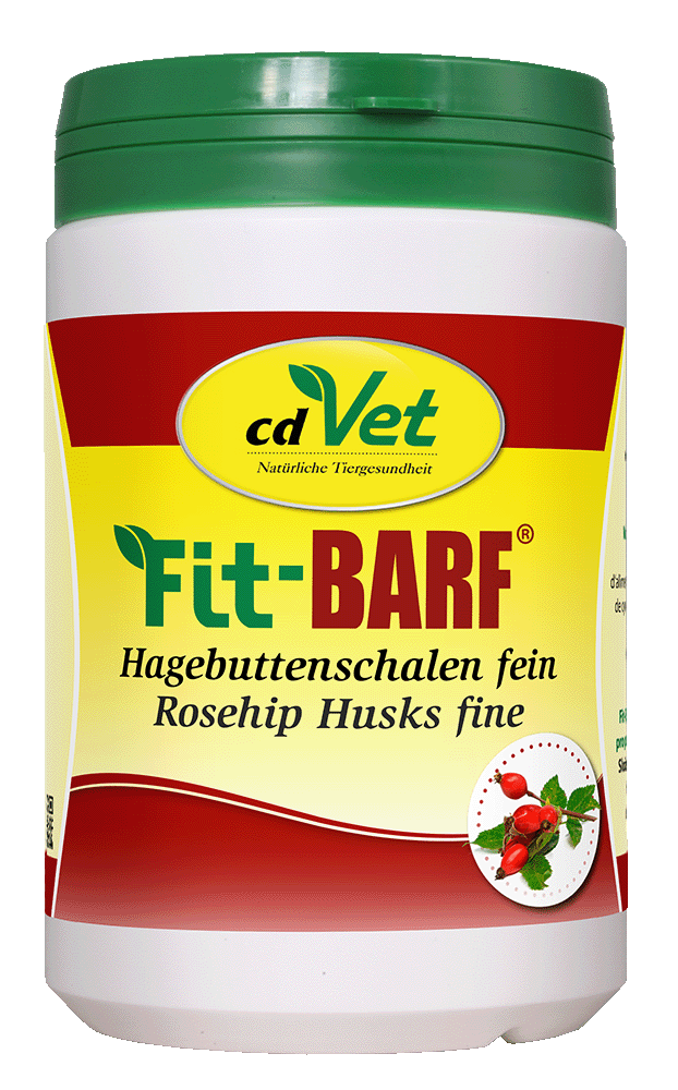 Hagebutten, Rosehip, Vitamine C, Hülsenfrucht?, Kapsel/Behälter