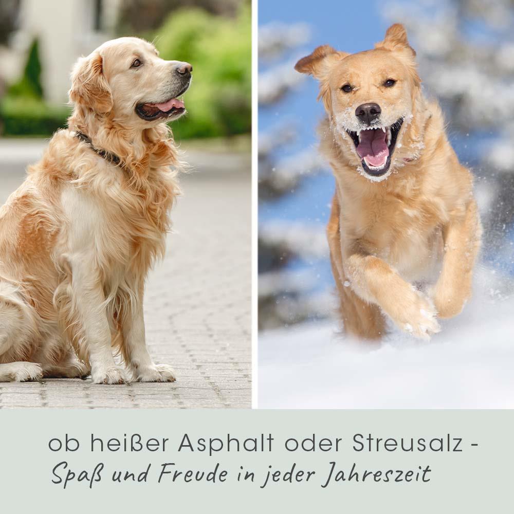 VeaVet Soin de Pattes 10 ml