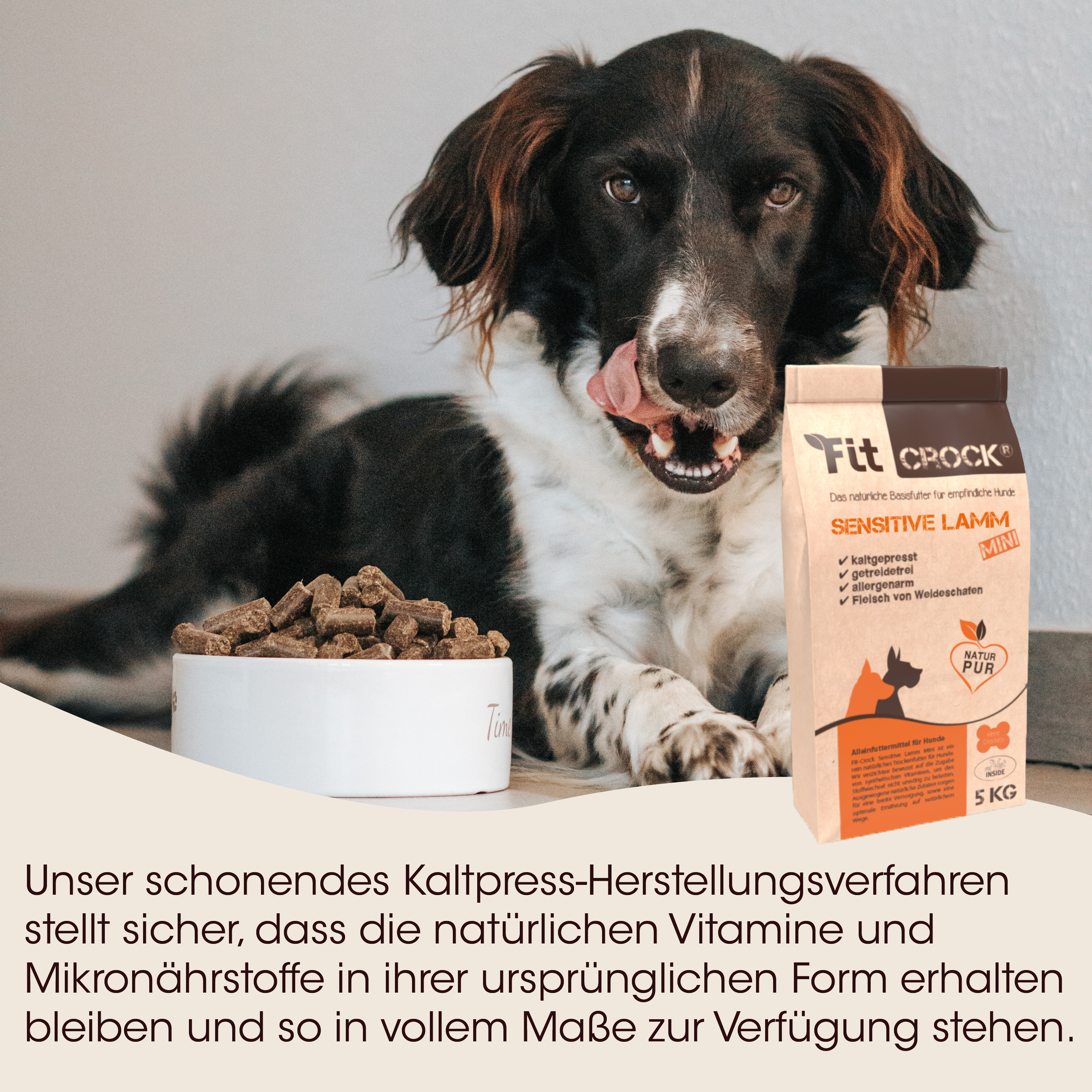 hund, hunde futter, hunde knabberei, kauknochen futter, braune packung