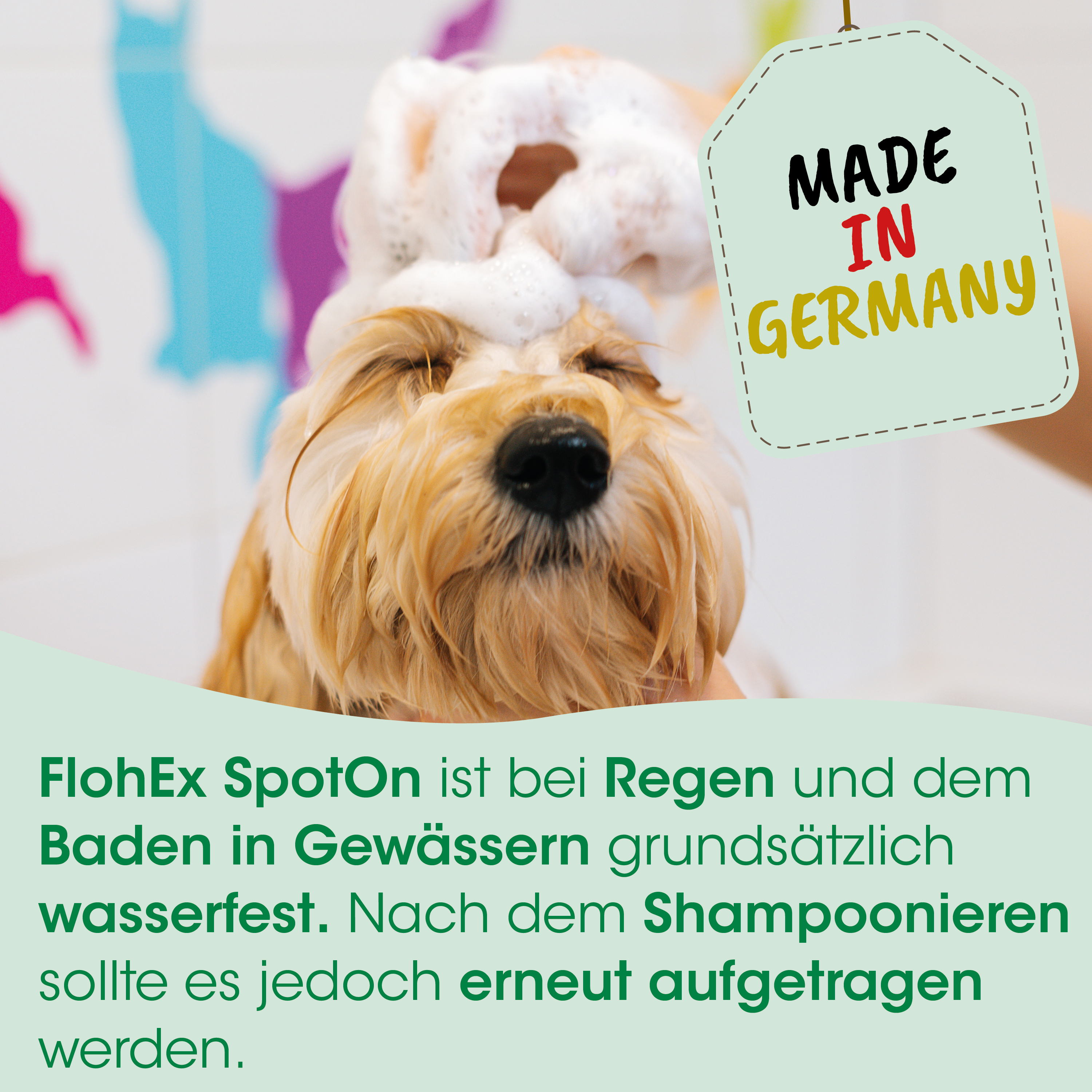 Hund, Shampoo, Haarpflege, Tierpfleger?, Made in Germany