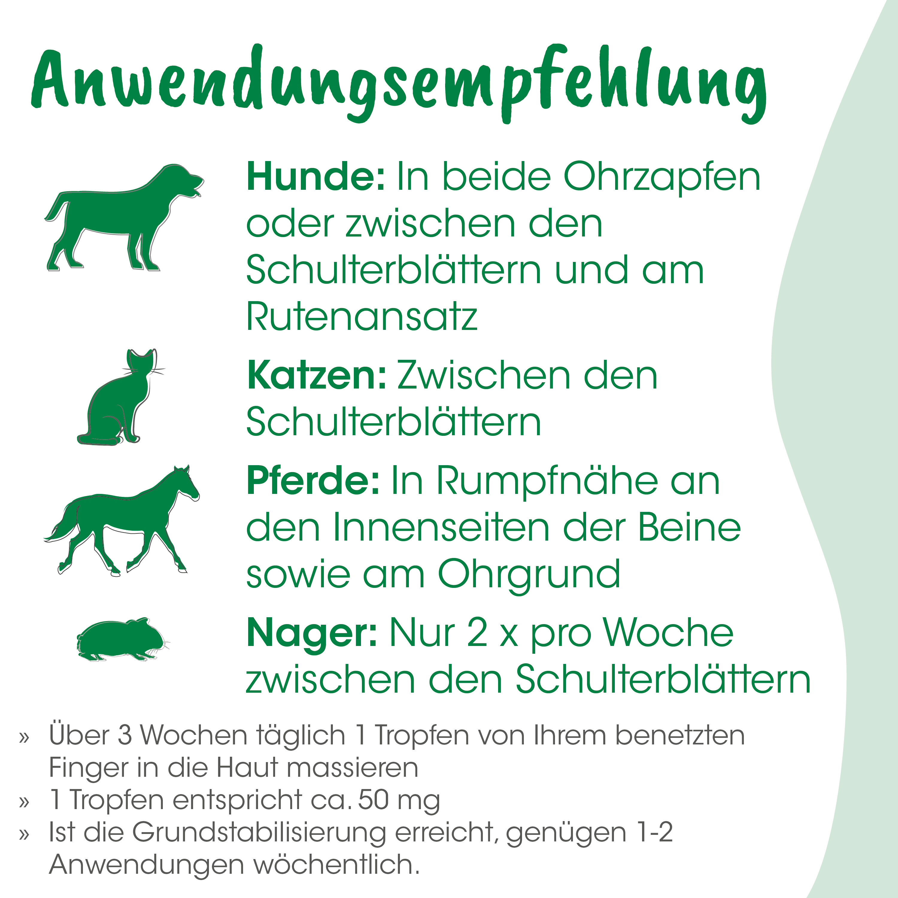 Hund, Katze, Pferd, Nager, Illustration