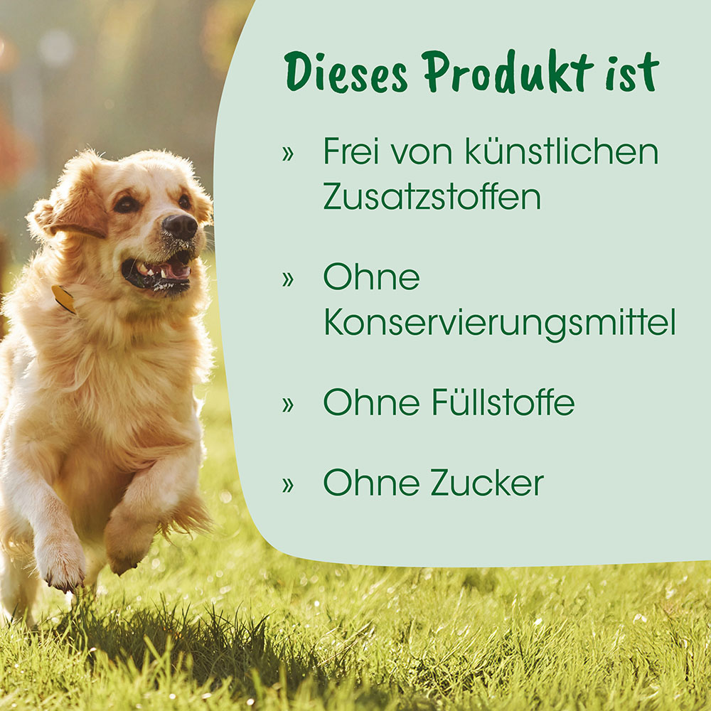 Hund, Golden Retriever, Kragen?, Tierfutter, Gras