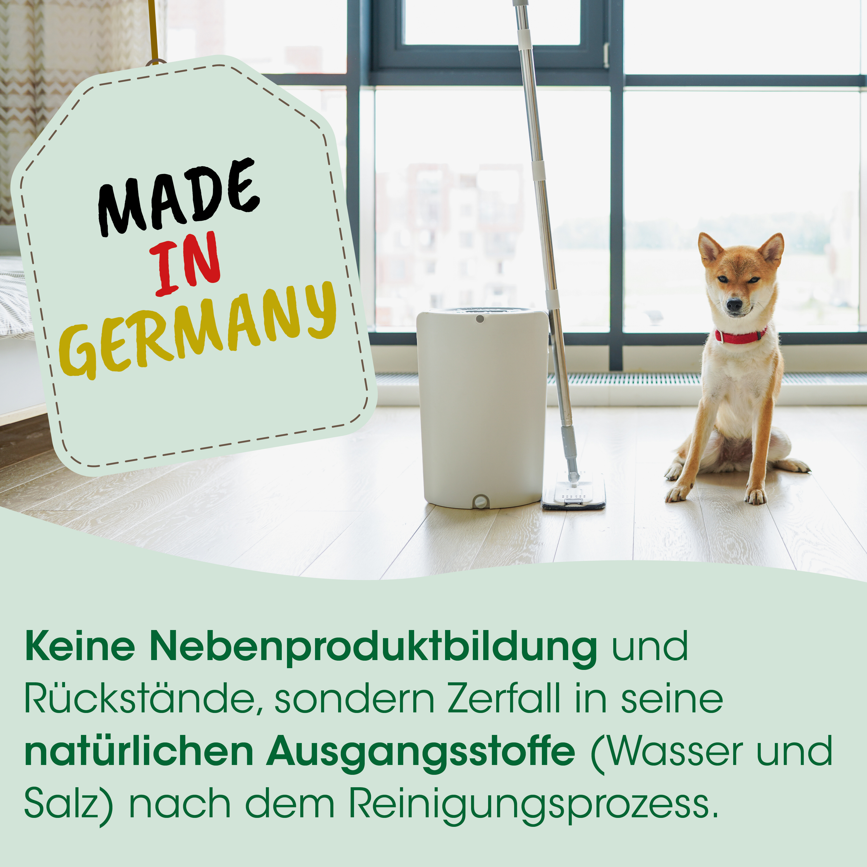 hund, tier, rot collar, innenraum, staubsauger