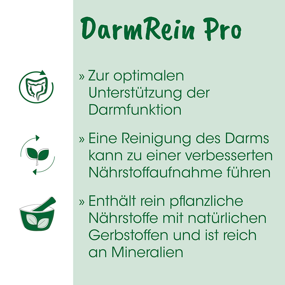 Darmrein Pro, Probiotisch, Kapsel, Pflanzlich, Nährstoffe