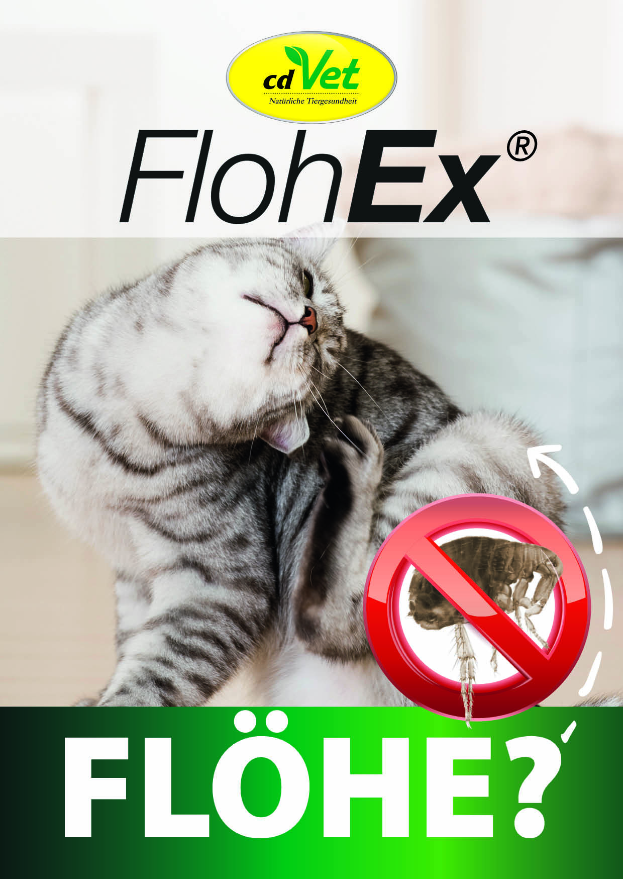 Katzenpflege, Flohex, Flohschutz, Anti-Floh, Katzenpflegeprodukt