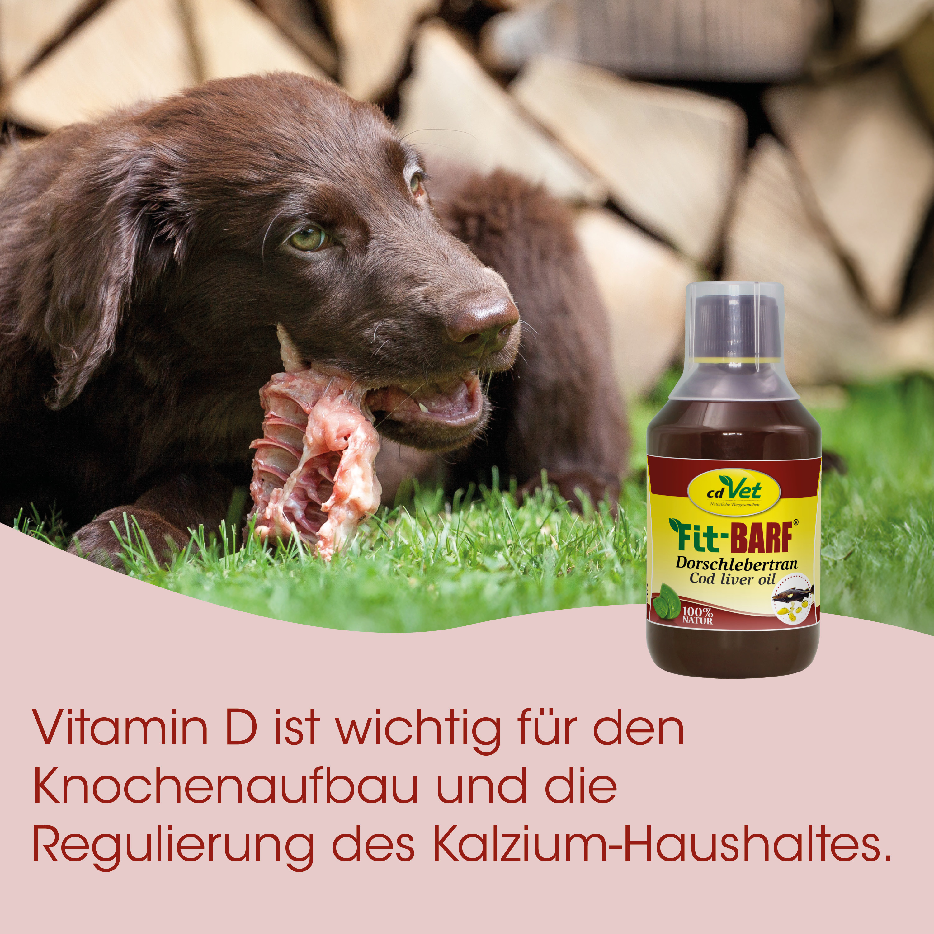 Hund, Kauknochen, Futter, Vitamin-D, Flasche
