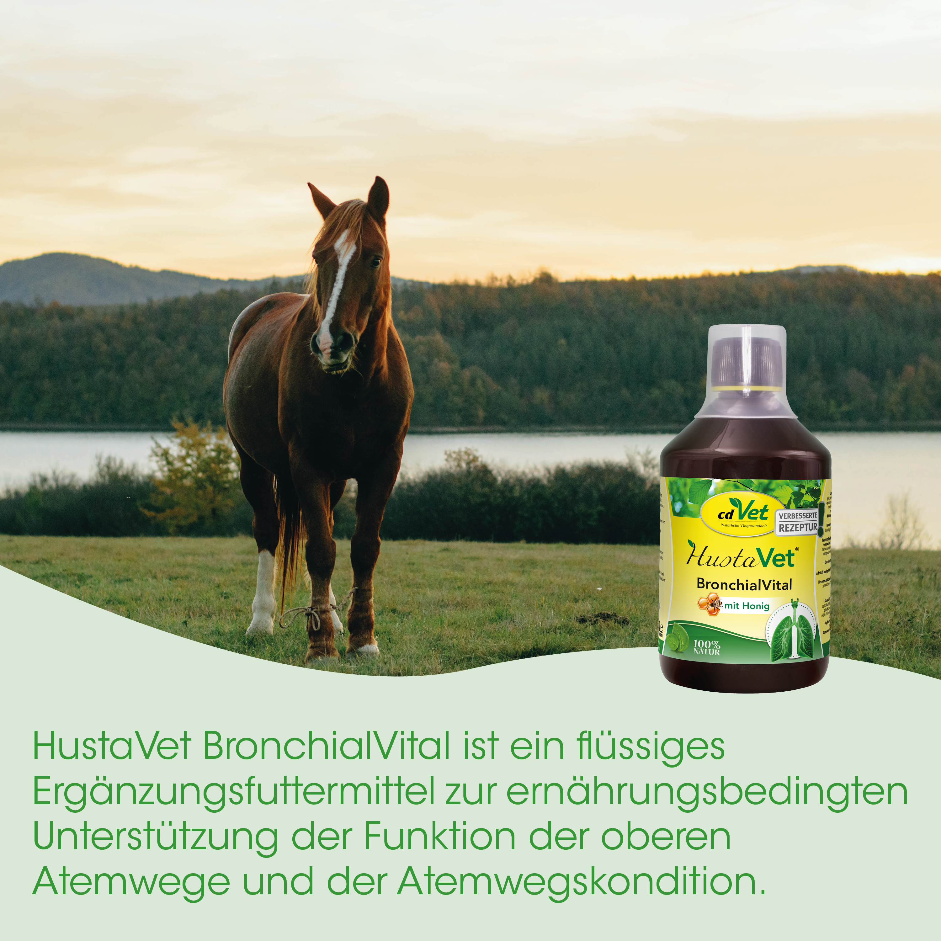 pferd, pferdeart, weide, flasche, ergänzungsmittel
