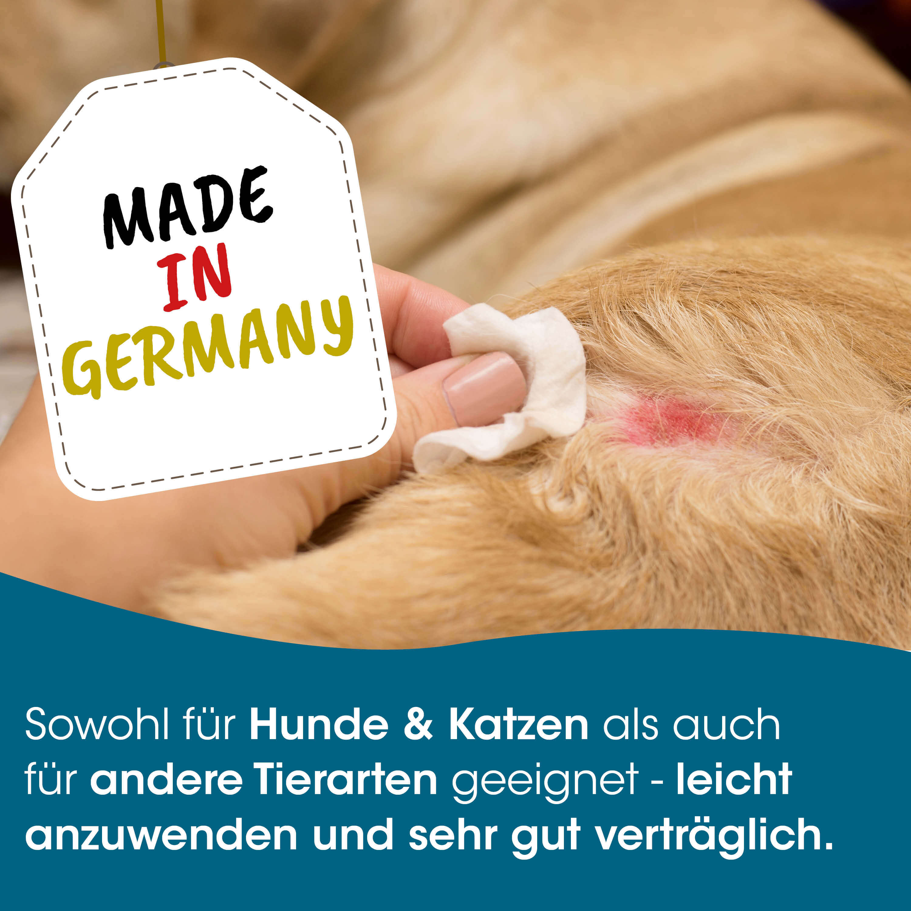 made in germany, tag, tierpflege, hunde, katzen