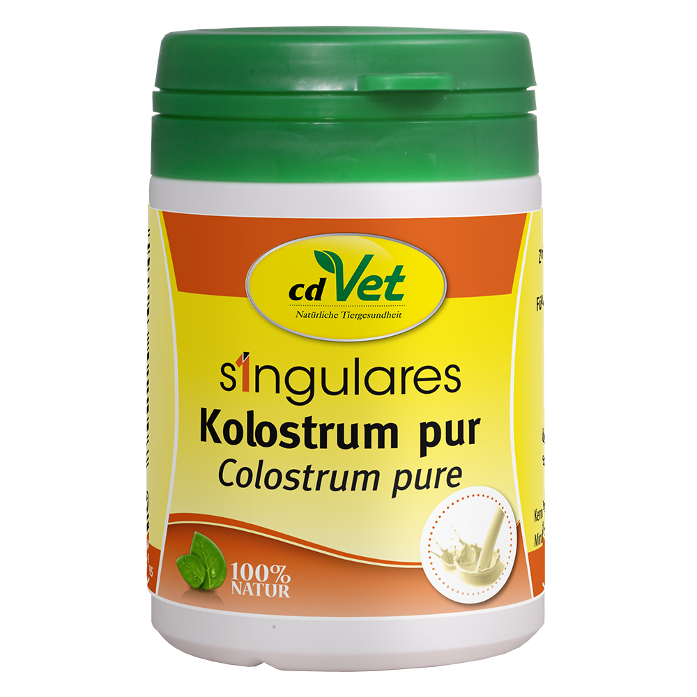 Kräuterig, Pflanze, Essen, Ketchup, Mayonaise