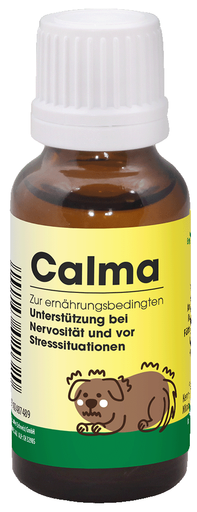 Essen, Würzen, Sirup, Flasche, Shaker