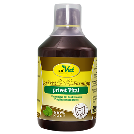 priVet Vital 500 ml