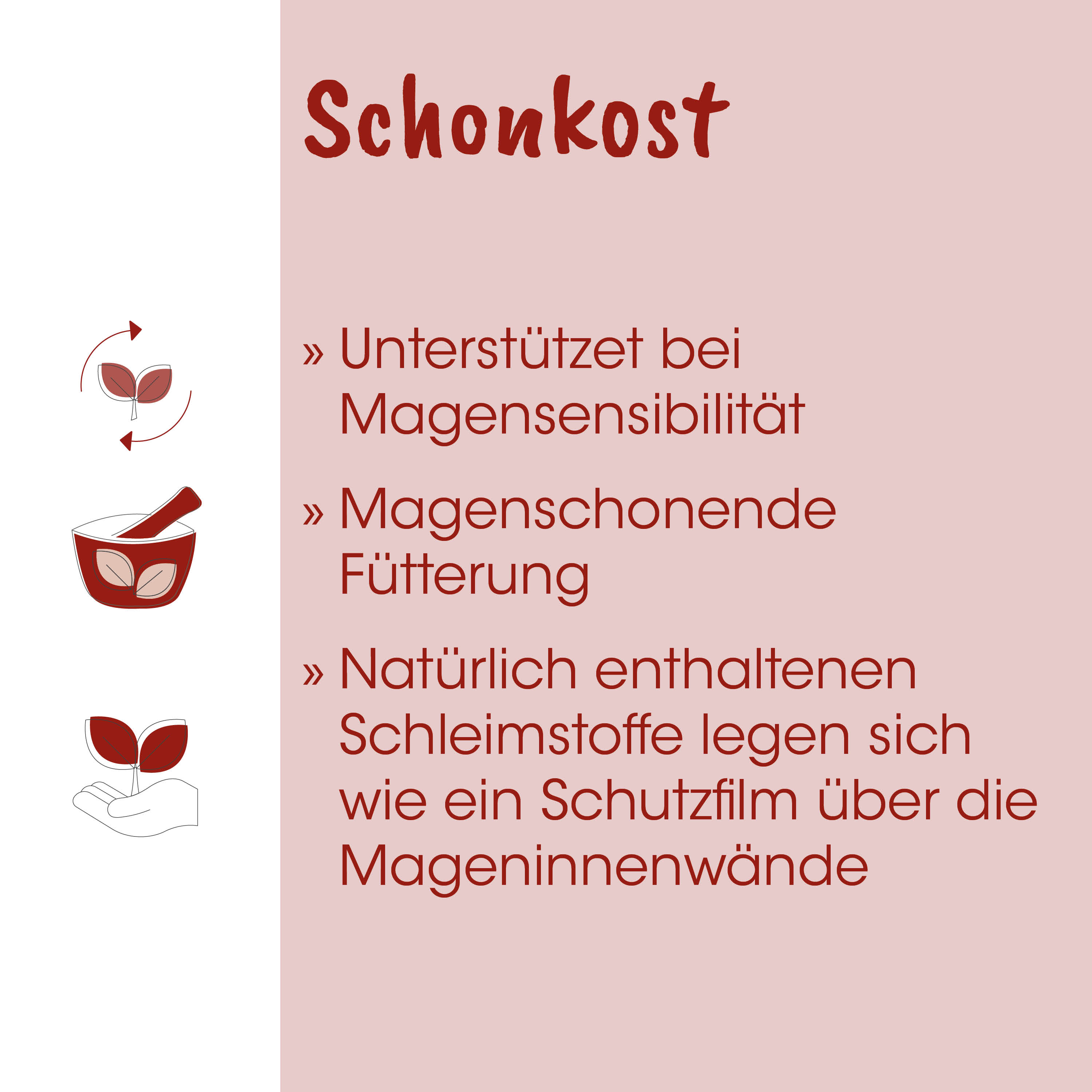 Schonkost, Magenempfehlung, Magenfreundlich, Futter, Schutzfilm
