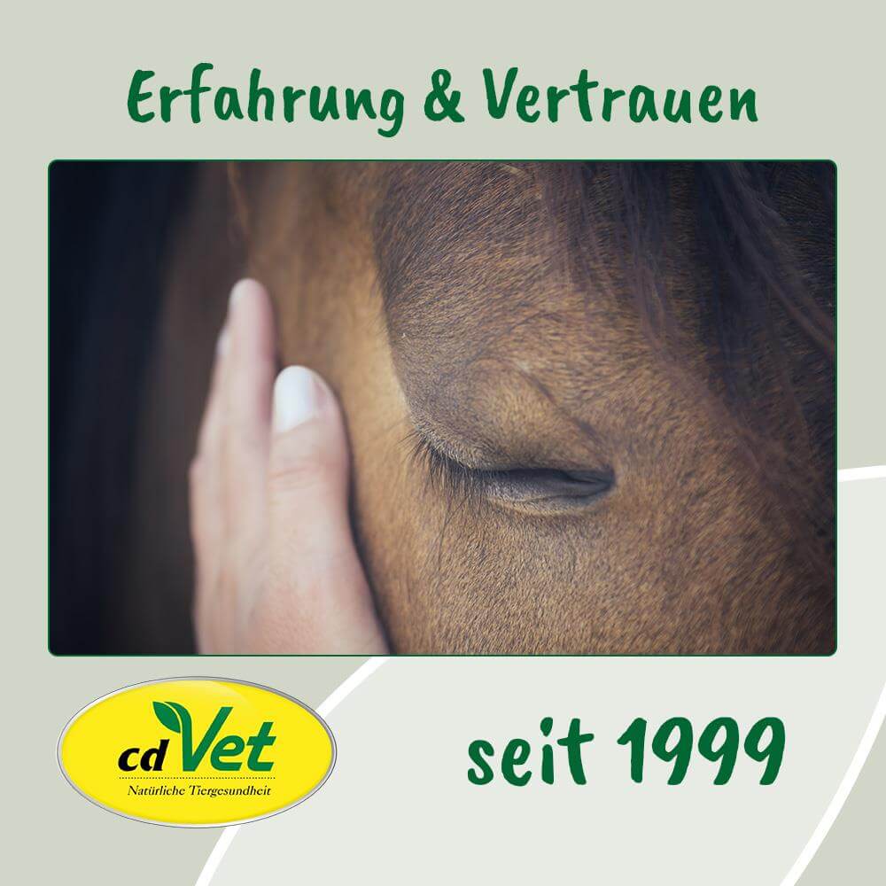 Pferd, Auge, Hand, Nahaufnahme, Braun