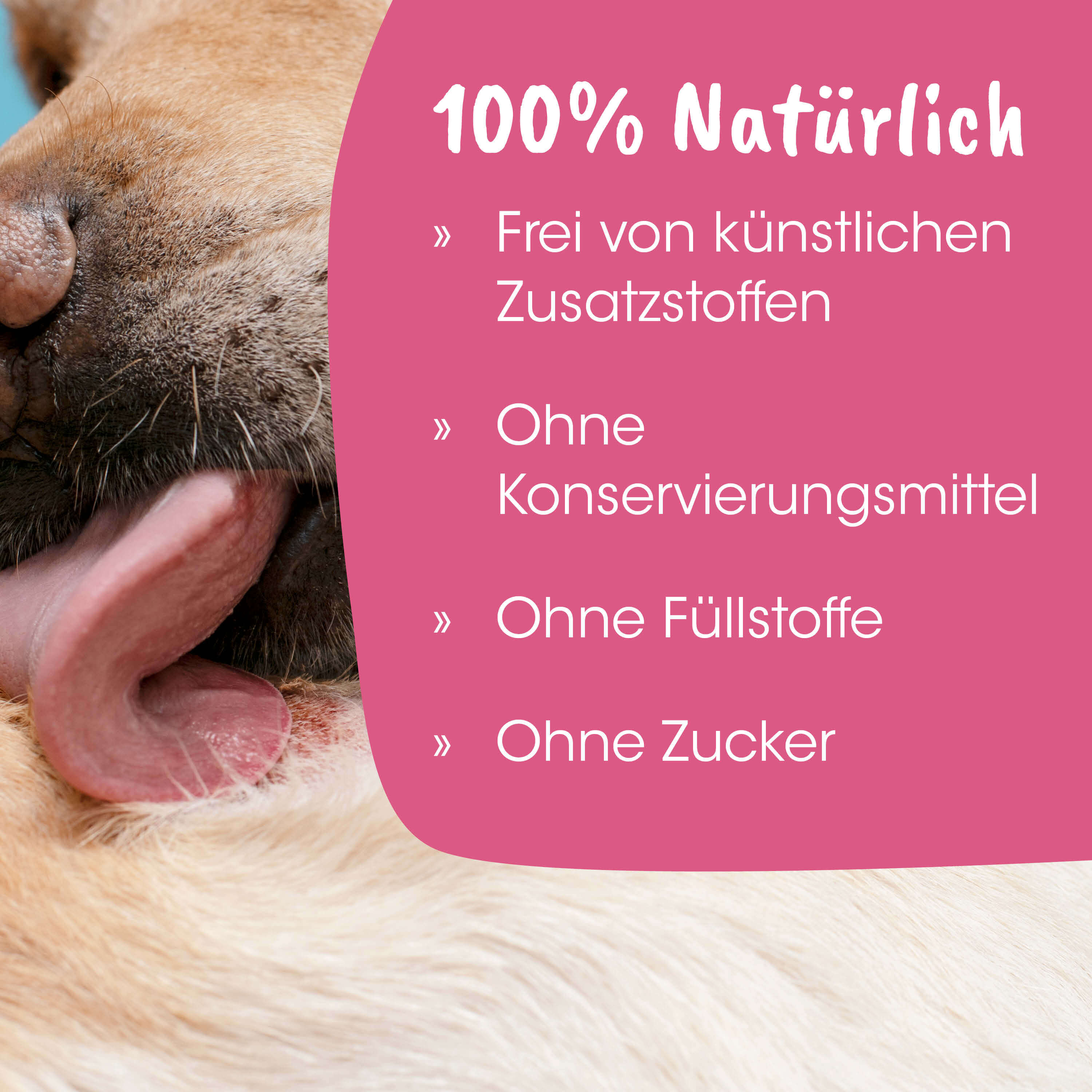 Hundehaut, Nase, Zunge, Hautpfleger, Tierprodukt