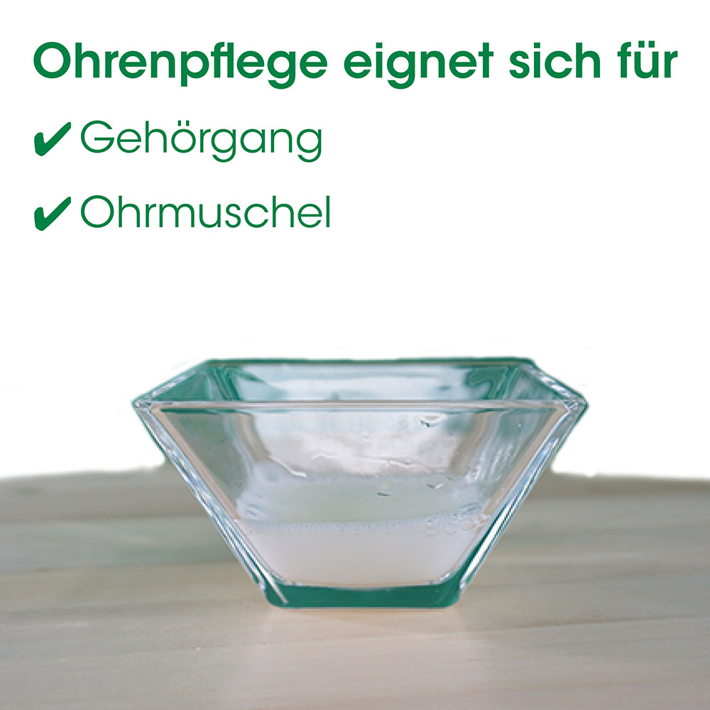 Schale, Glas, Transparente Schale, Vasenform?