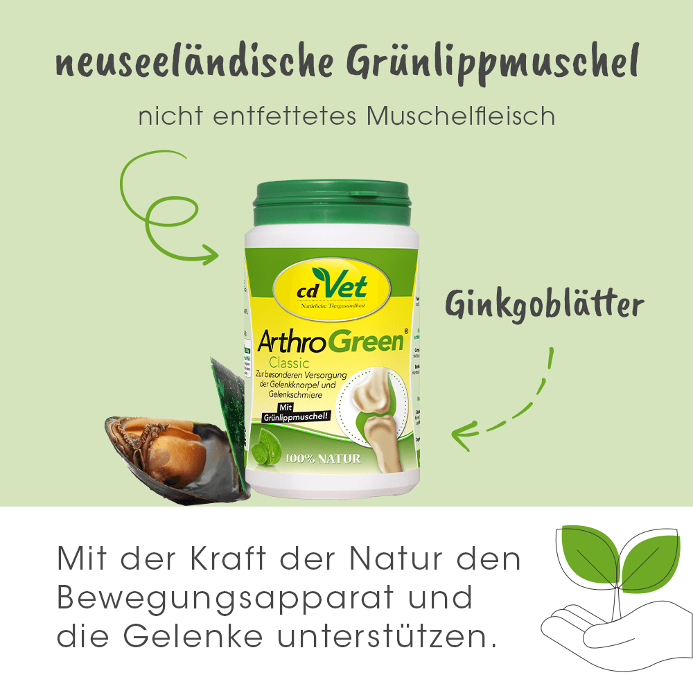 ArthroGreen Classique 345 g