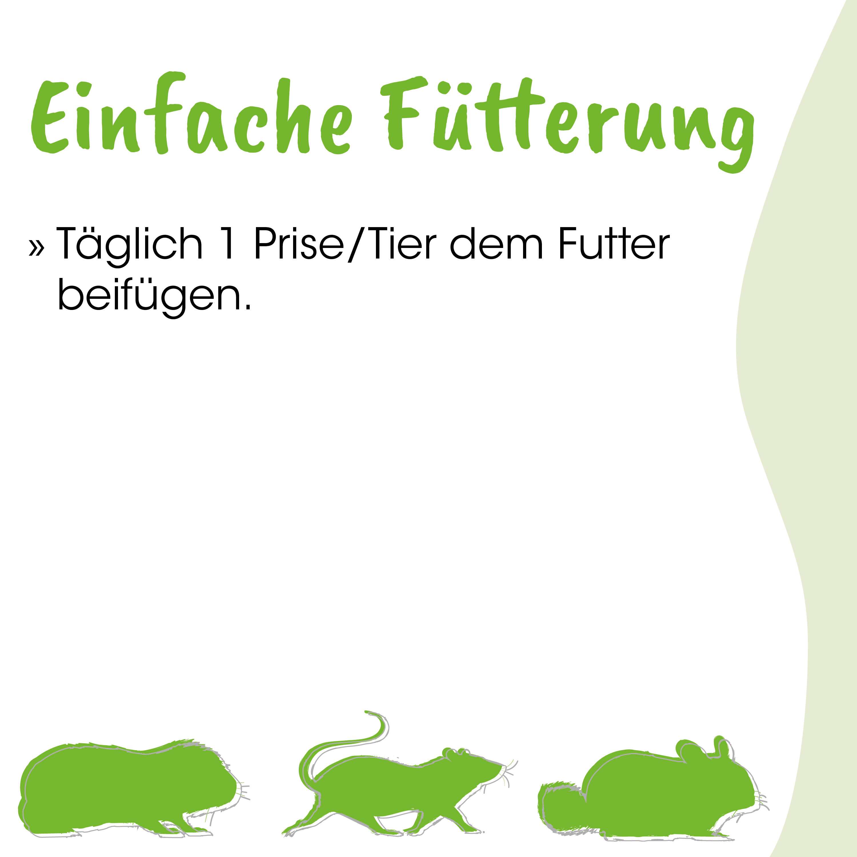 futter, pelzrat, nachtisch, tierfutter, futtertipps