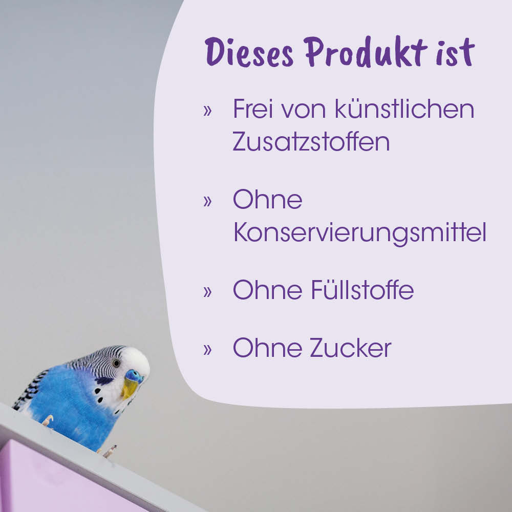 wellness, vogel, papagei, wohnkultur, kein zucker