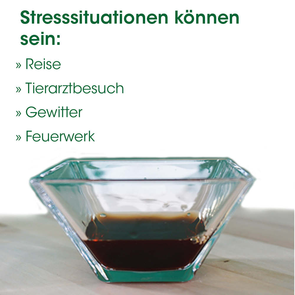 Kaffee, Rührschüssel, Glasbehälter, Transparente Schüssel, Kleiner Behälter