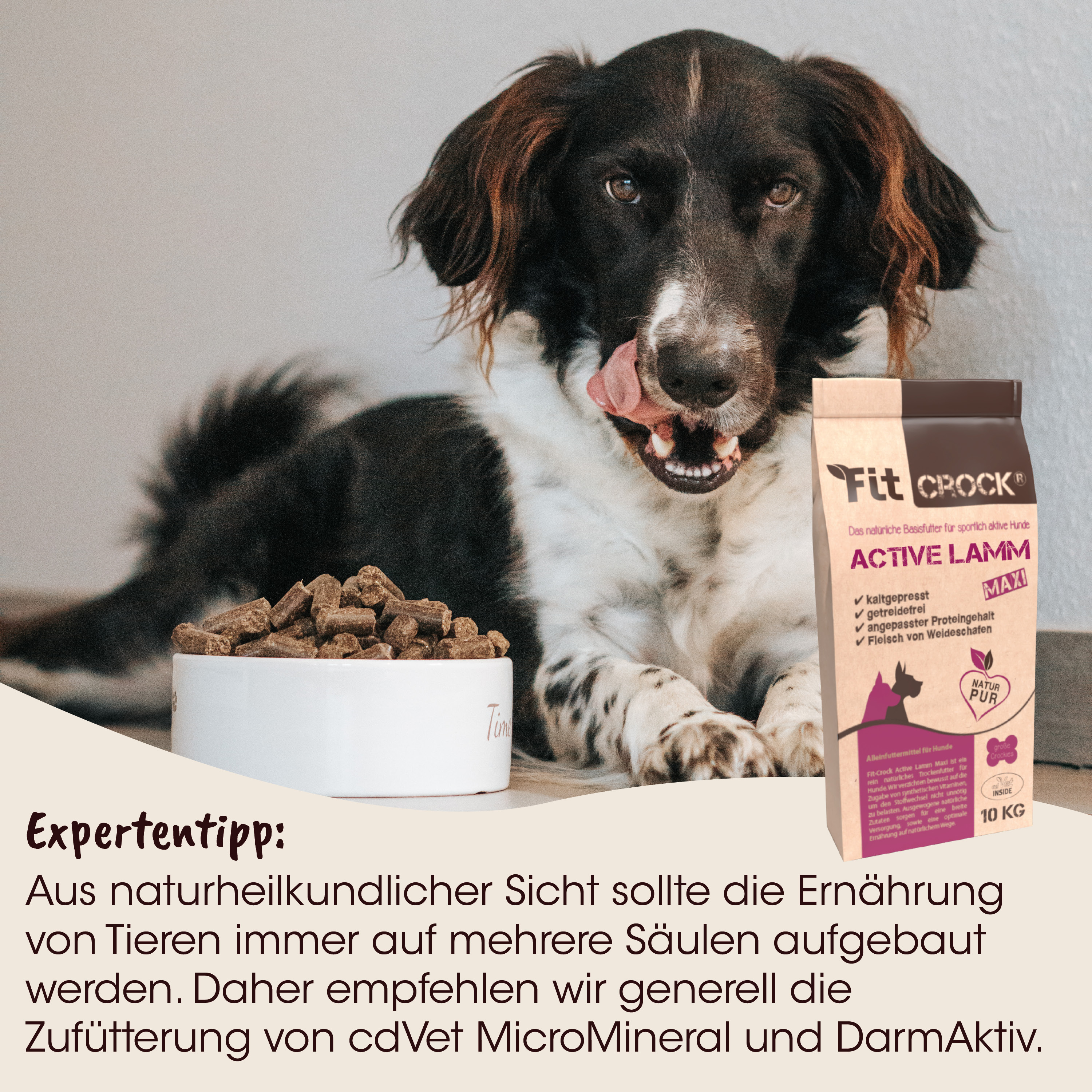 Hund, Kausnacks, Hundefutter, Beutel, Produktverpackung