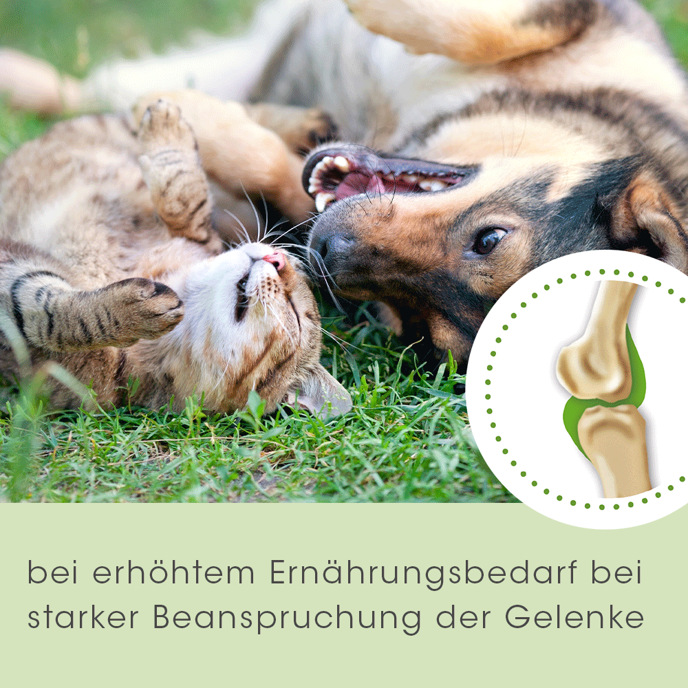 ArthroGreen Classique 345 g