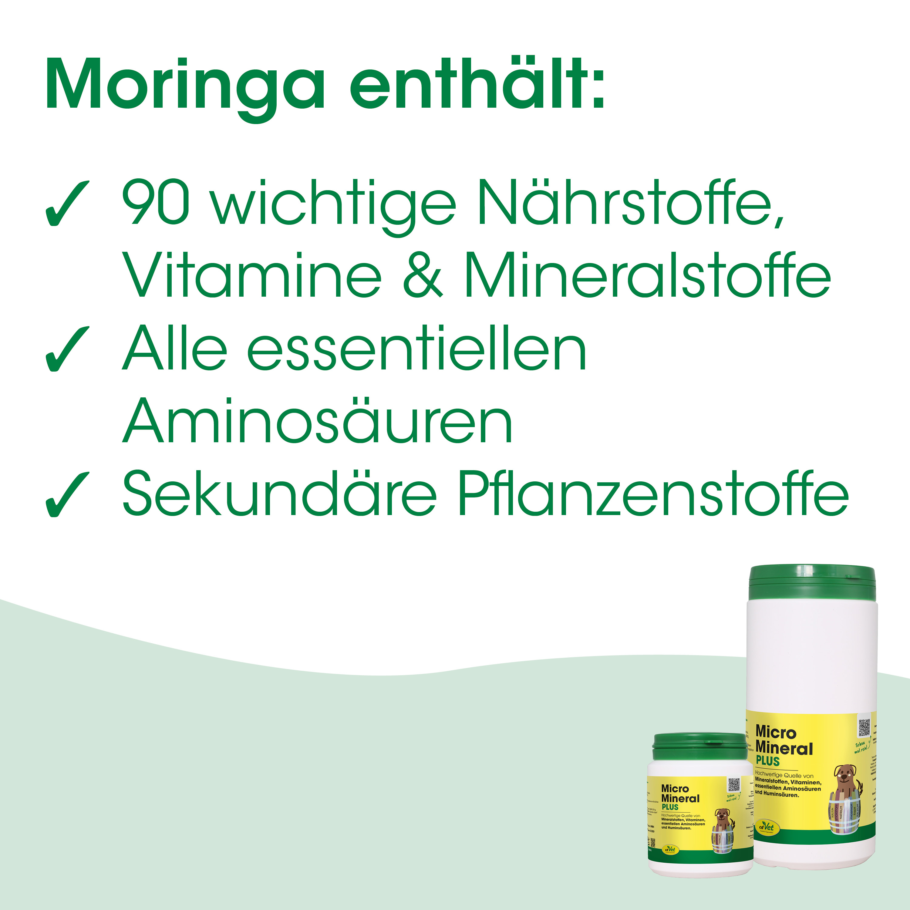 Nahrungsergänzung, Vitamine, Mineralstoffe, Aminosäuren, Pflanzenstoffe