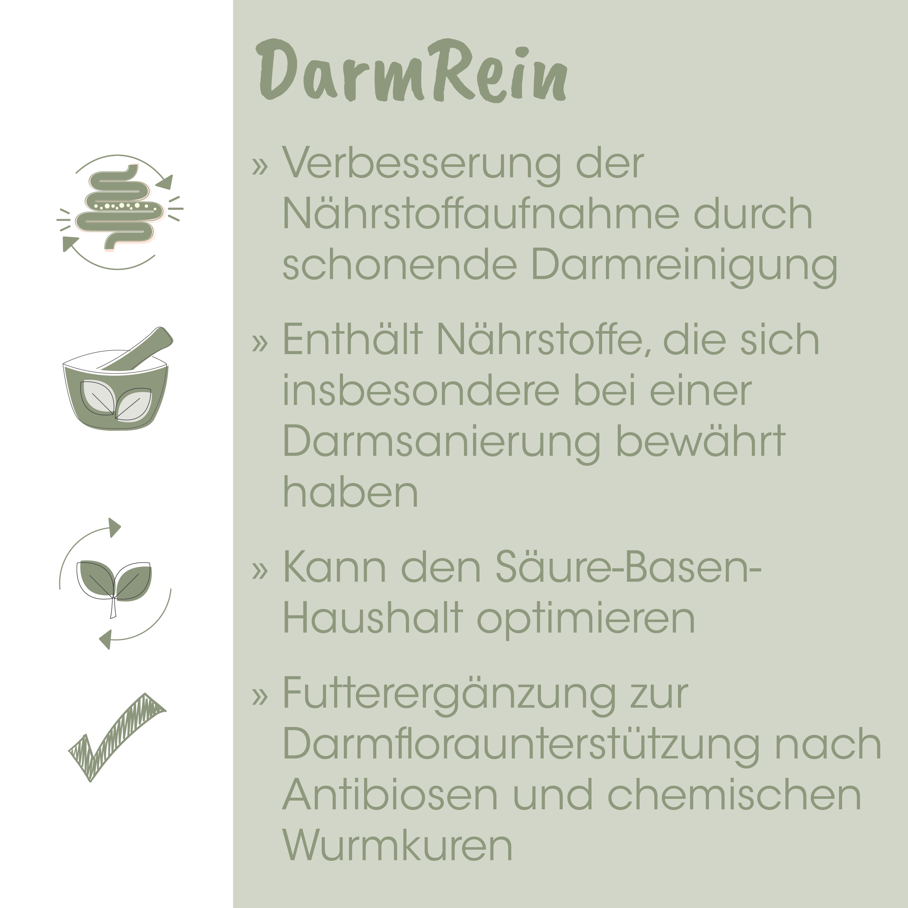 Darm, Bauchpflege, Kräuterkompresse, Darmreinigung, Nahrungsergänzung