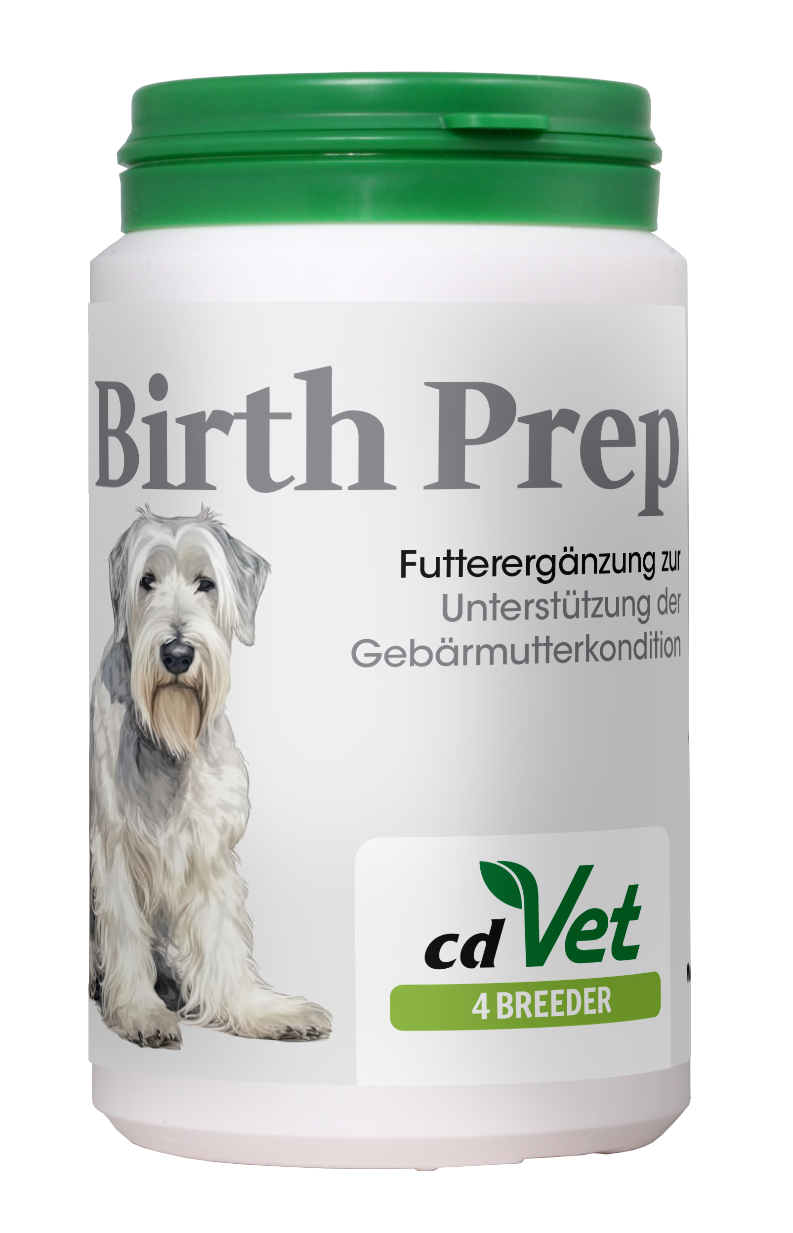 Kräuterig, Pflanze, Glas, Hund, Haustier