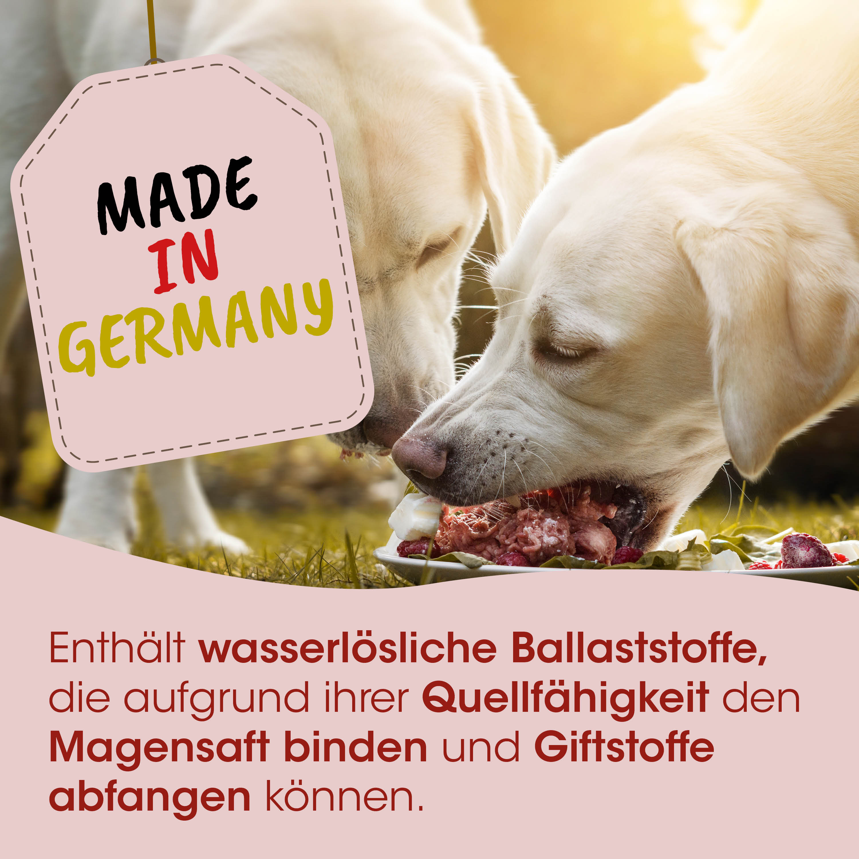 Hunde-Futter, Kausalon, Rindfleisch, Trockenfutter, Made in Germany