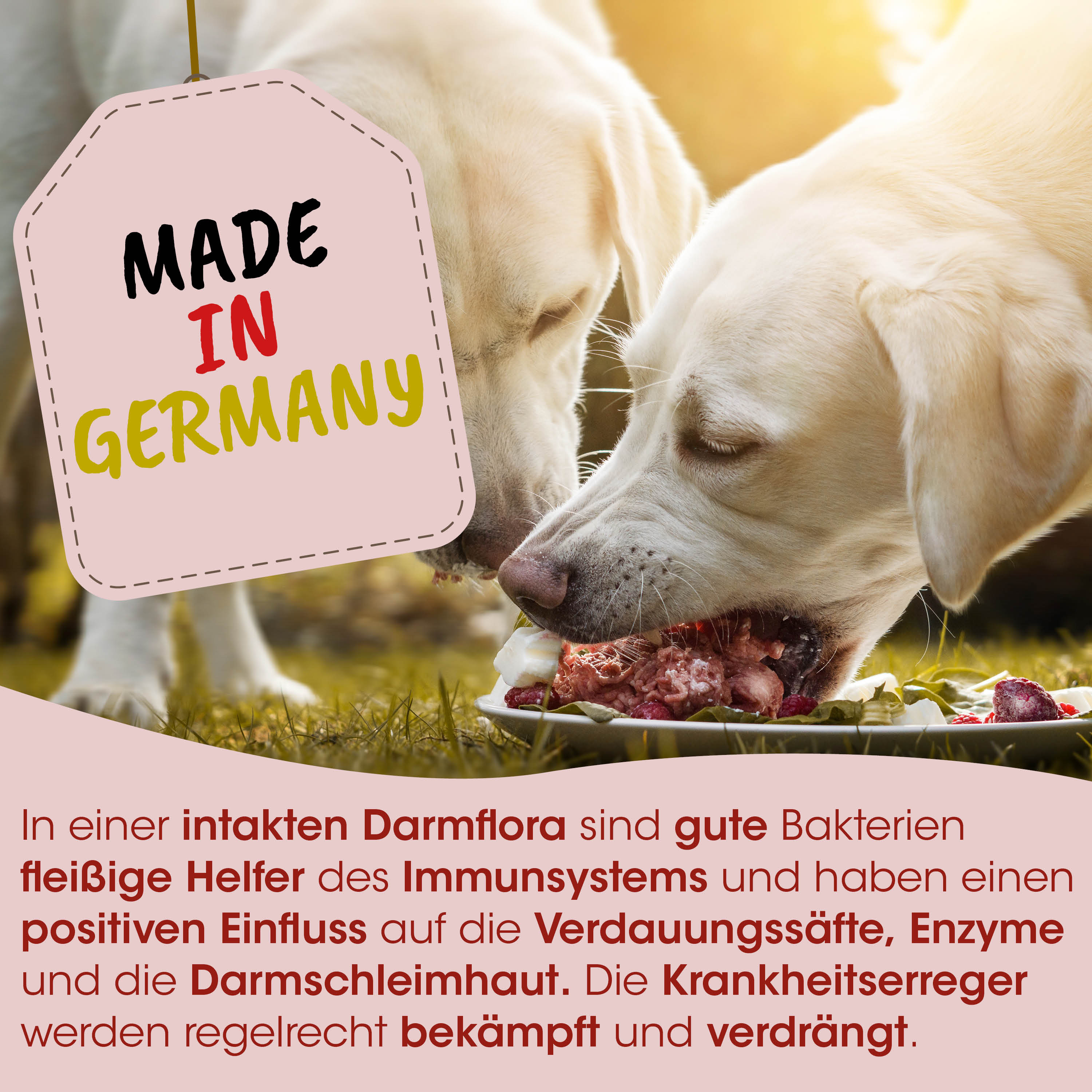 Hundefutter, Kauartikel, Rindfleisch, Darmflora, Made in Germany