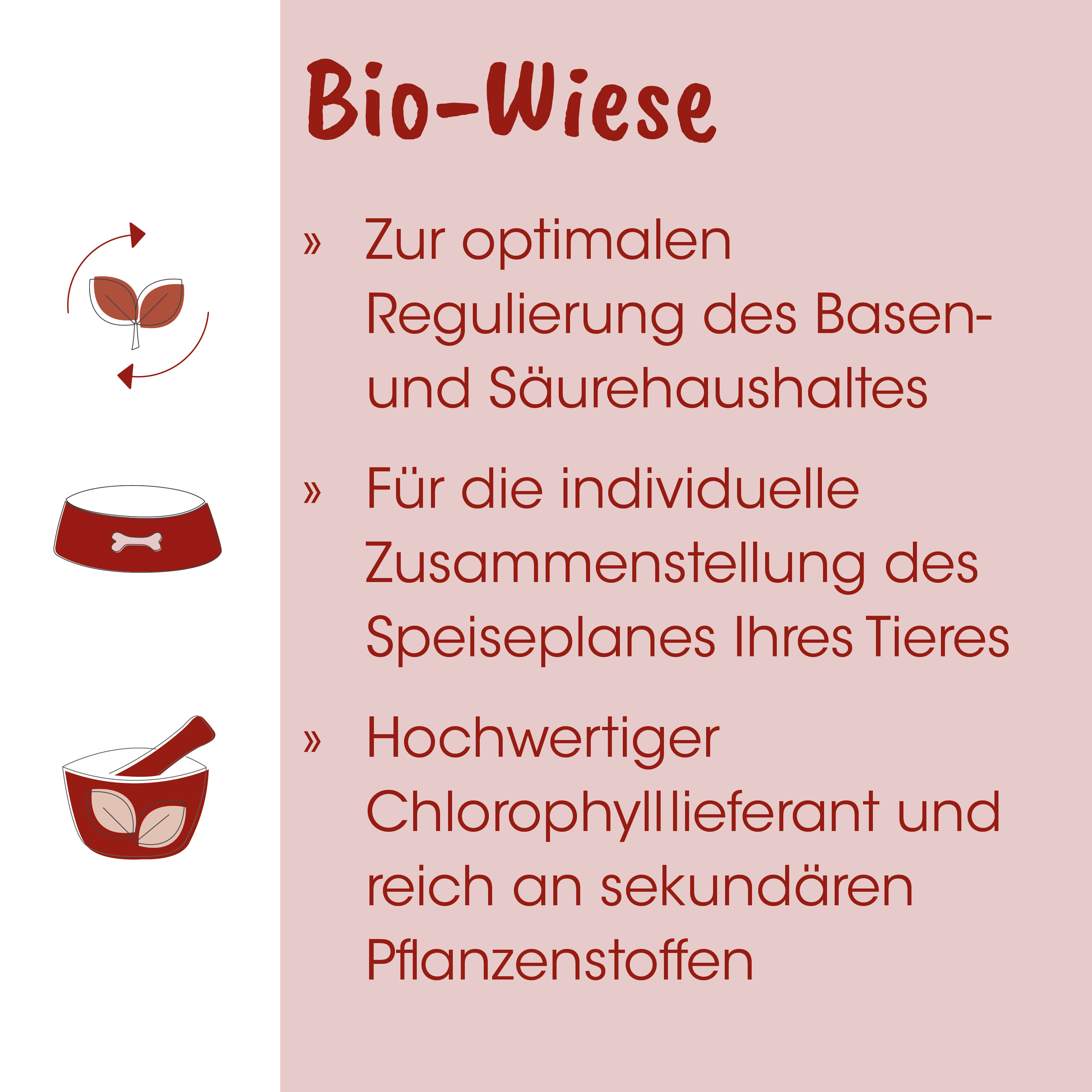 Bio, Wiese, Tierfutter, Chlorophyll, Futterdose