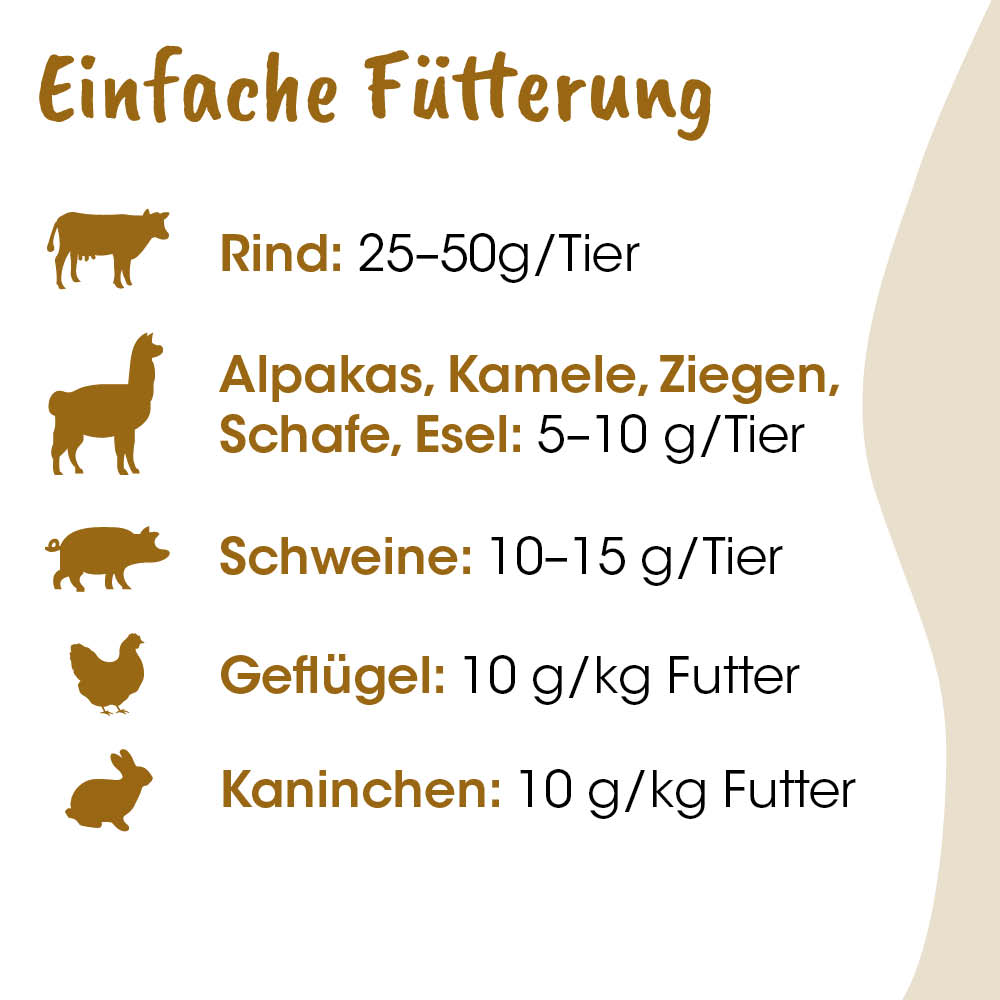 Futterplan, Tierfutter, Rind, Alpakas, Kamele