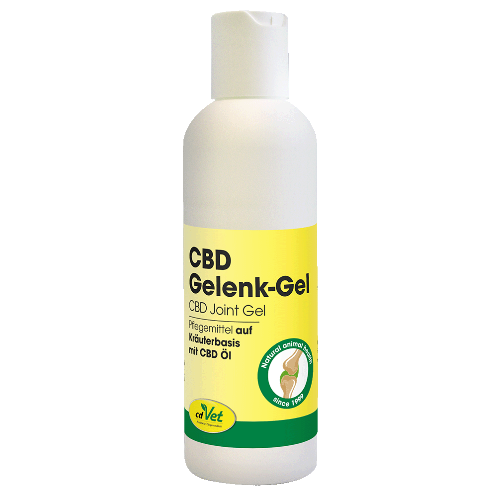 CBD Gel Articulaire 100 ml