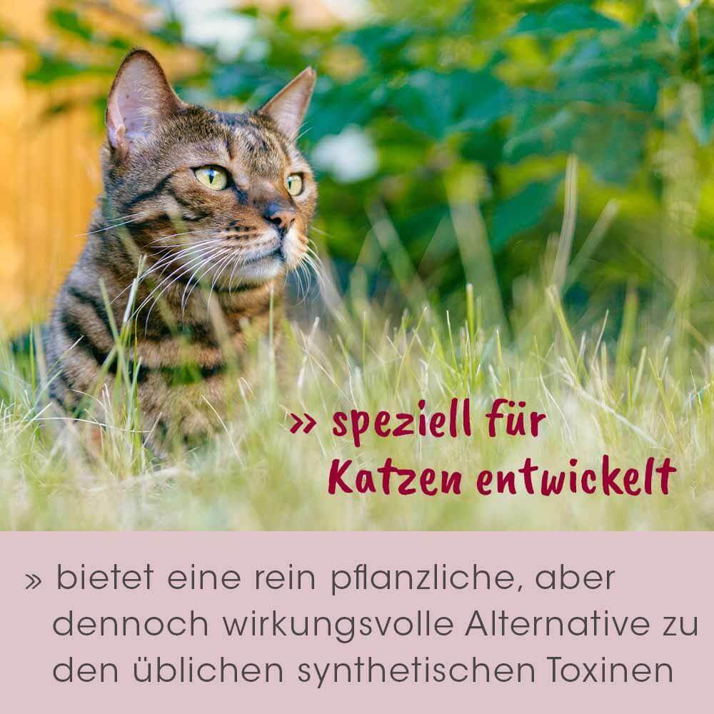 feliTATZ Concentré Défense 10 ml