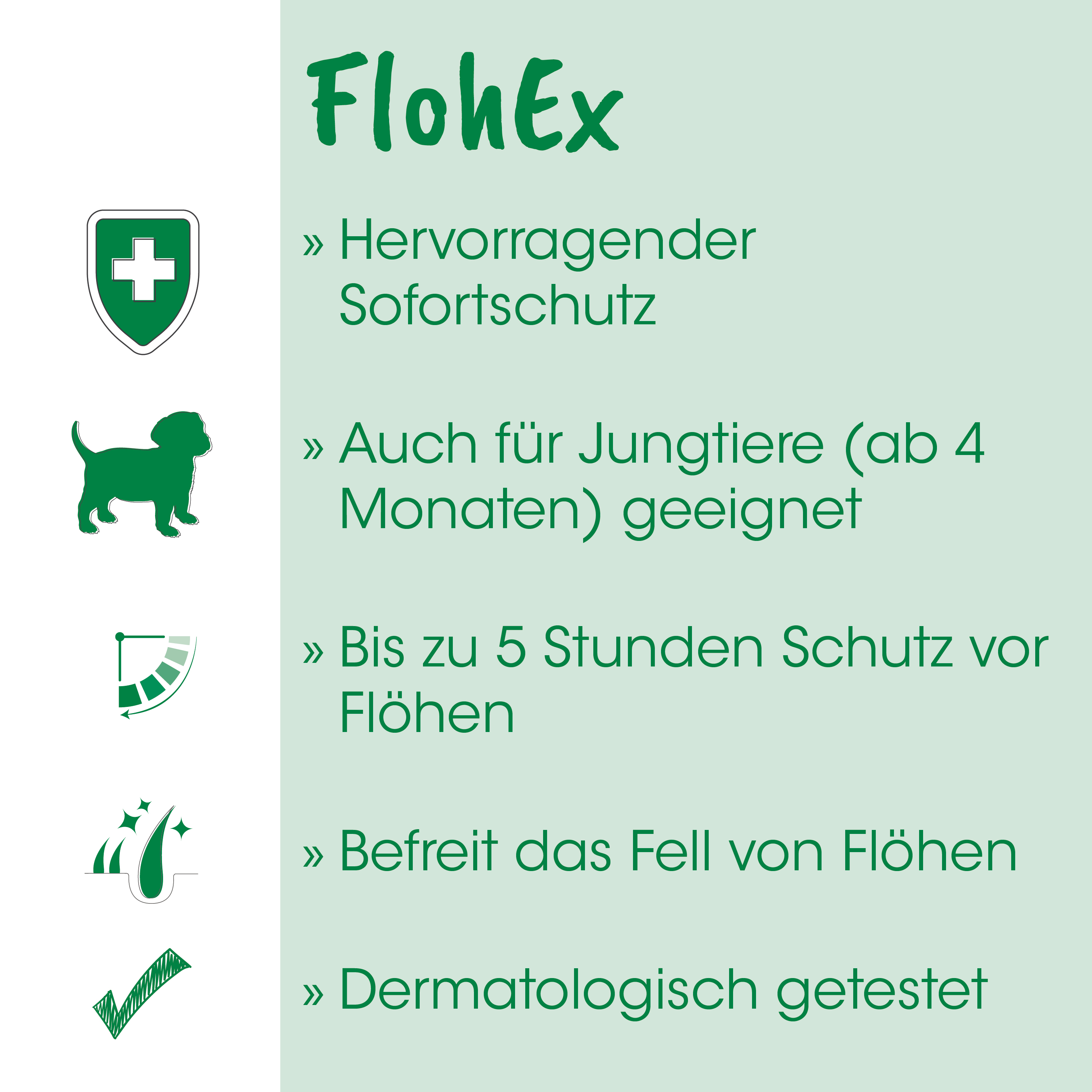 Hund, Schutz, Kleidung?