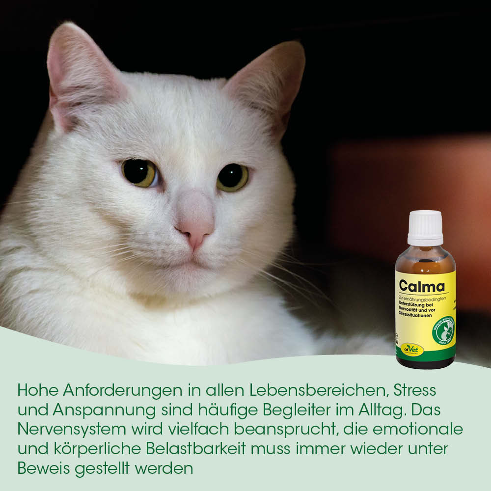 Hund, Katze, Nahrungsergänzungsmittel, Calma, Nahrungsergänzung