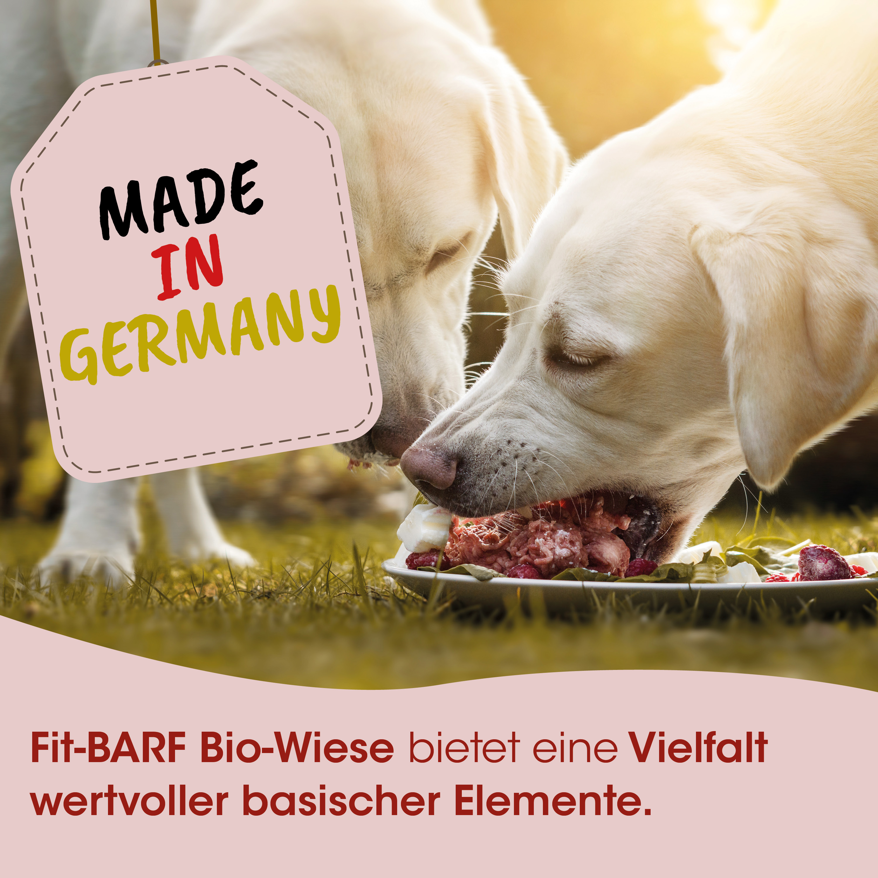 Hund, Hundefutter, Futter, Frischfleisch, Bio