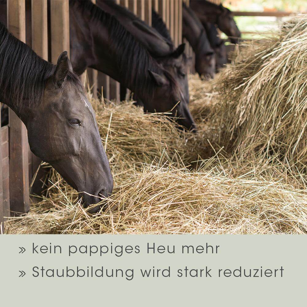 EquiGreen Foin Protect 2,5 L