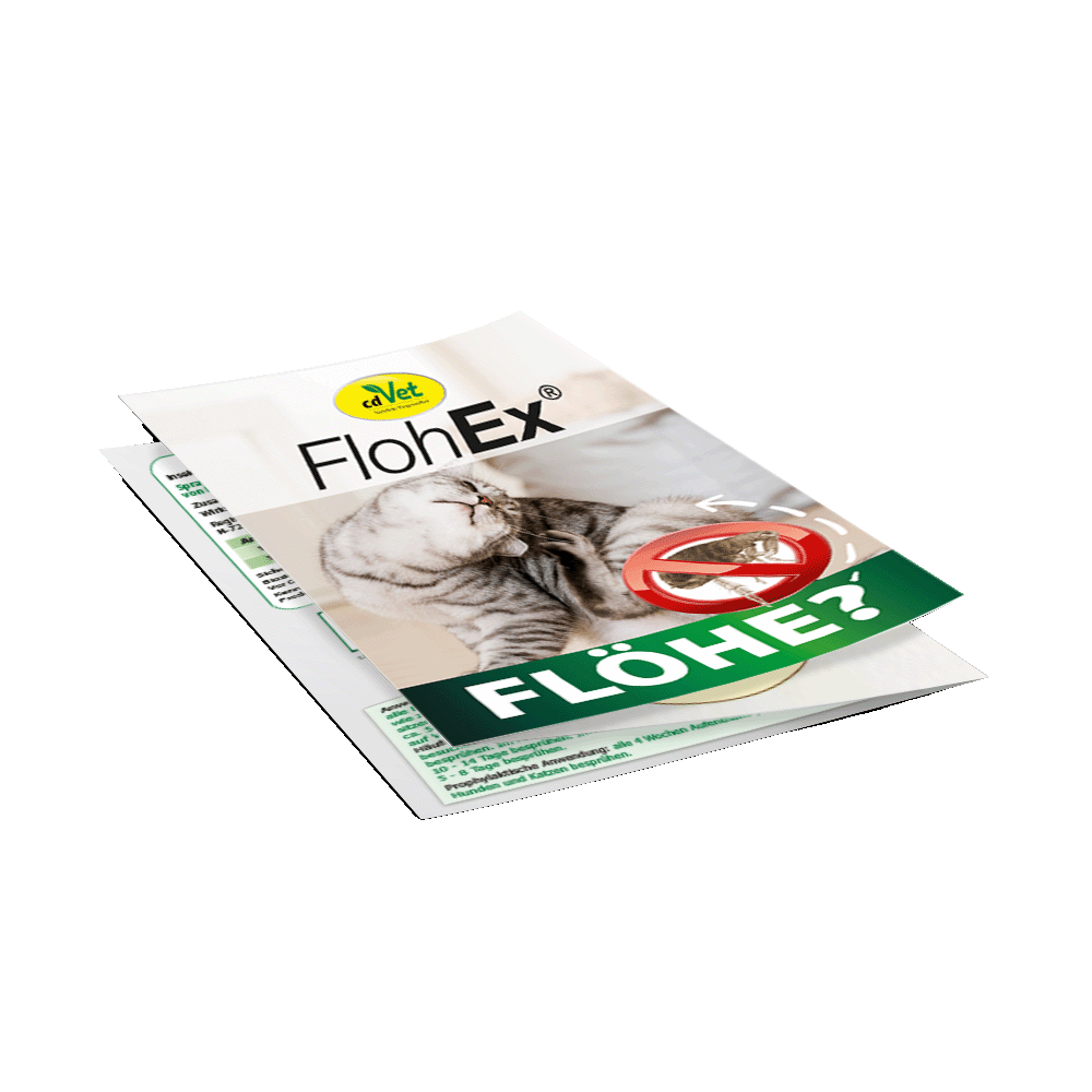 Flyer Flöhe , DIN A6