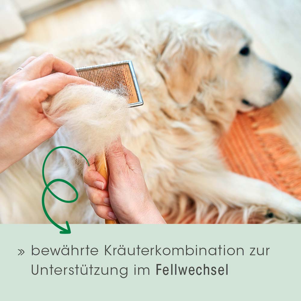 Pelage & Peau Vital Chien & Chat 400 g