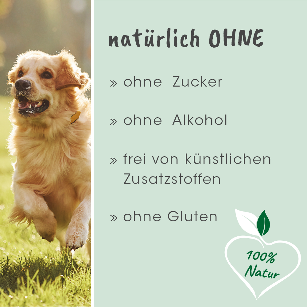 IntestinActif plus 1 L